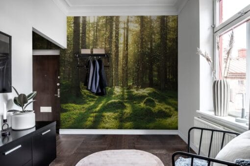 Forest Bath Wallmural - Premium