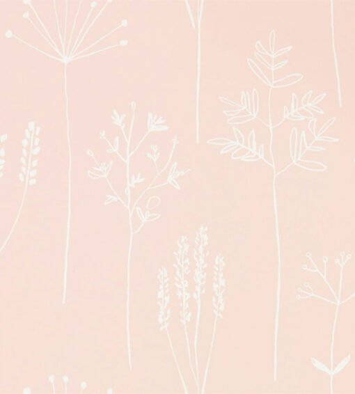 Stipa Wallpaper - Image 5