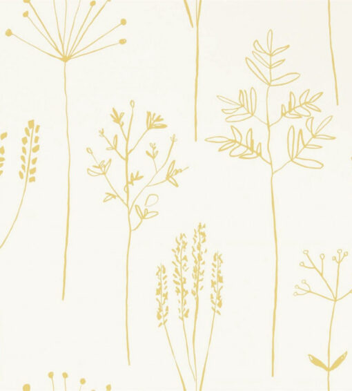 Stipa Wallpaper - Image 7