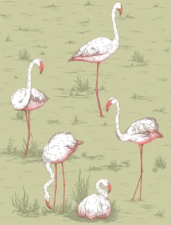 Flamingos Image Flatshot Item 112 11038 1363x1800 FLAMINGOS ICONS FLAMINGOS ICONS