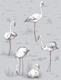 Flamingos Image Flatshot Item 112 11040 1363x1800 FLAMINGOS ICONS FLAMINGOS ICONS