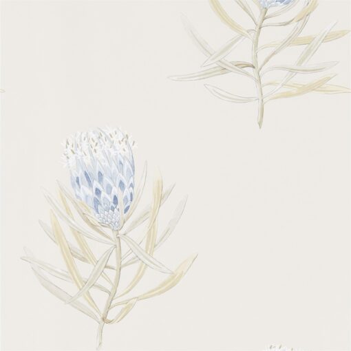 PROTEA FLOWER - Image 2