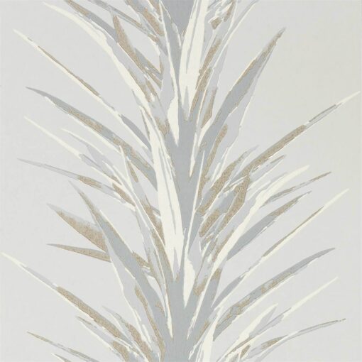 YUCCA - Image 4