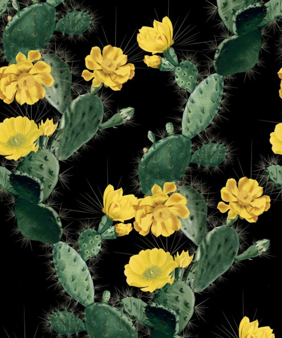 EW DC Cactus Yellow Night Cactus Wallpaper Cactus Wallpaper