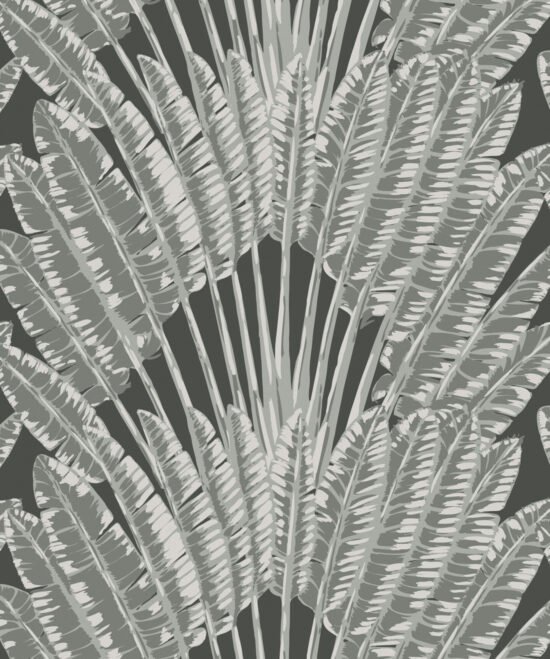 EW DC Feather Palm Night Palm Feather Palm Wallpaper Feather Palm Wallpaper