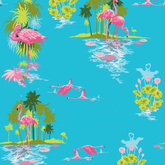 EW DC Flamingo Day Flamingo Wallpaper Flamingo Wallpaper