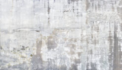 EW DC Weathered Weathered Concrete Wall Mural Weathered Concrete Wall Mural