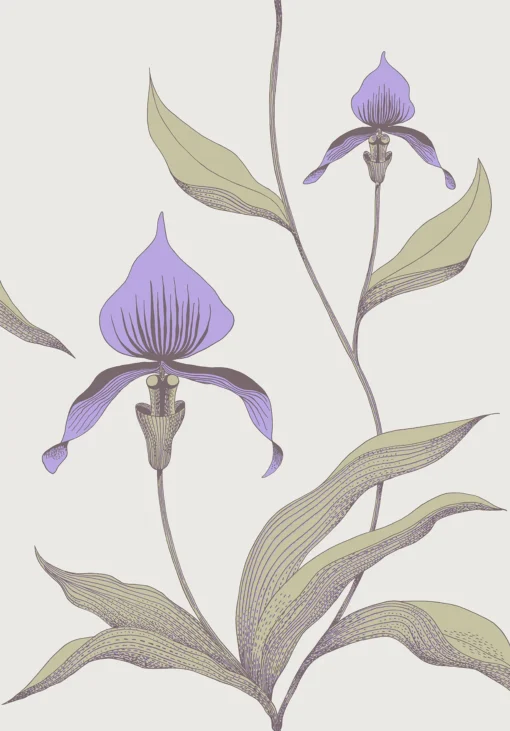 ORCHID - Image 2