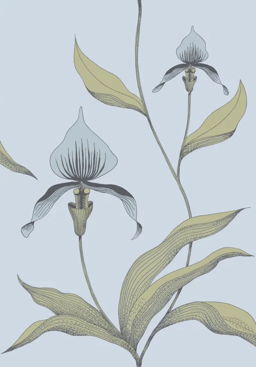 ORCHID - Image 4