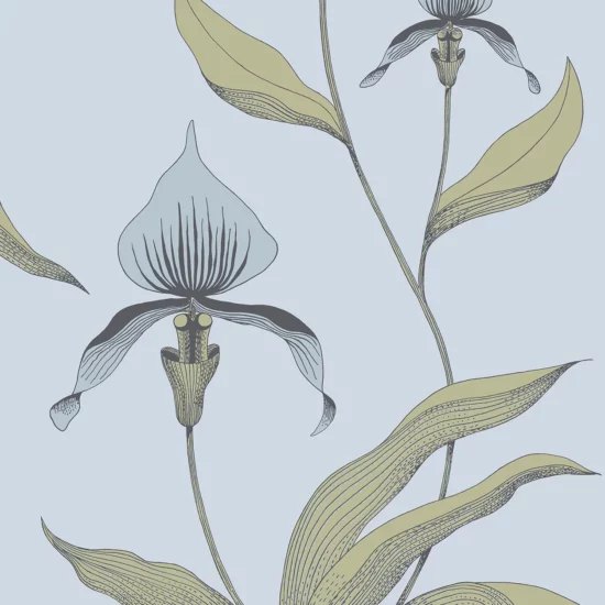 Orchid Image Flatshot Item 66 4026 1255x1800 ORCHID ORCHID