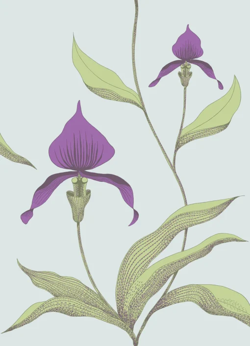 ORCHID - Image 6