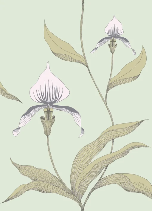 ORCHID - Image 8