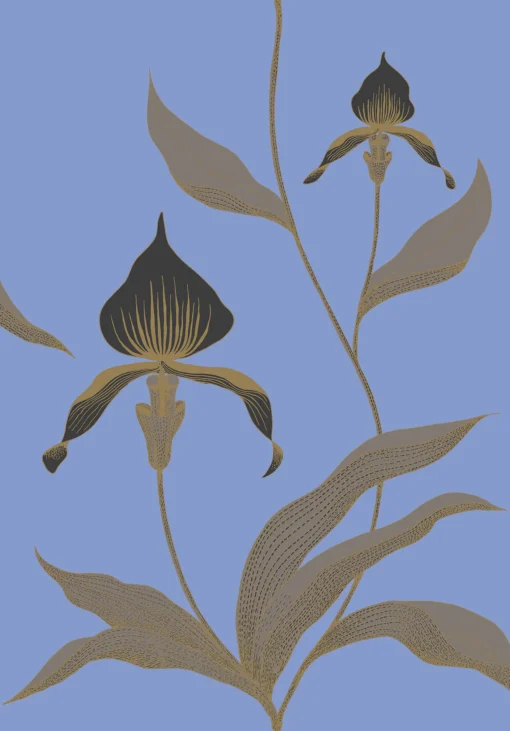 ORCHID - Image 10