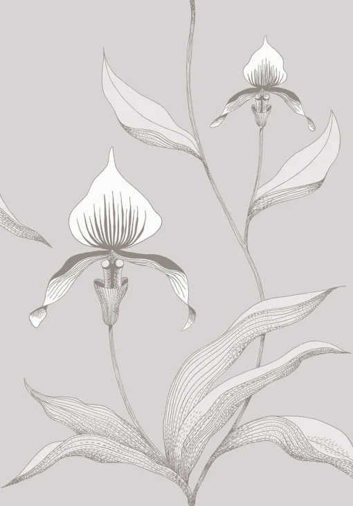 ORCHID - Image 17