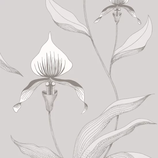 Orchid Image Flatshot Item 95 10055 1255x1800 ORCHID ORCHID