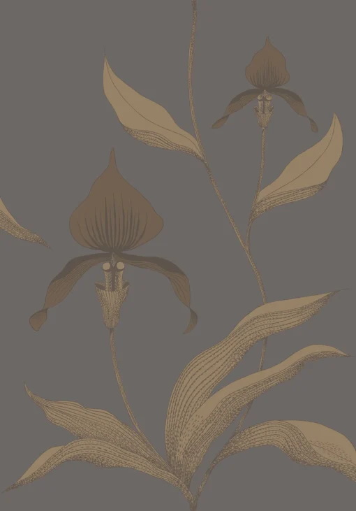 ORCHID - Image 19