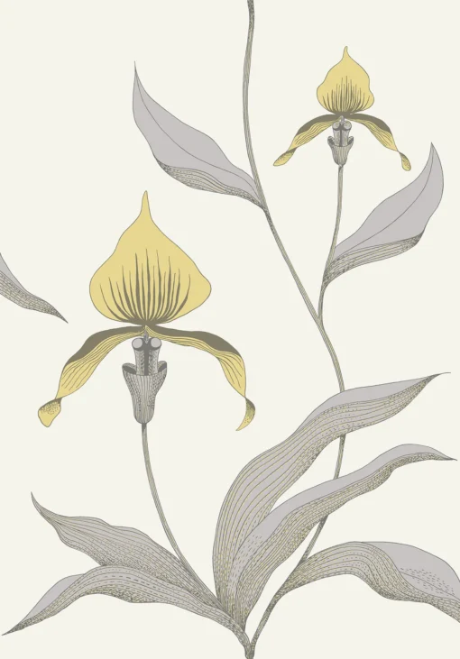 ORCHID - Image 21