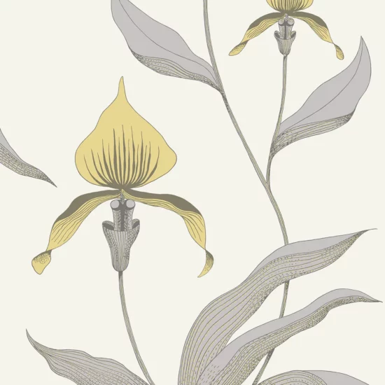 Orchid Image Flatshot Item 95 10057 1255x1800 ORCHID ORCHID