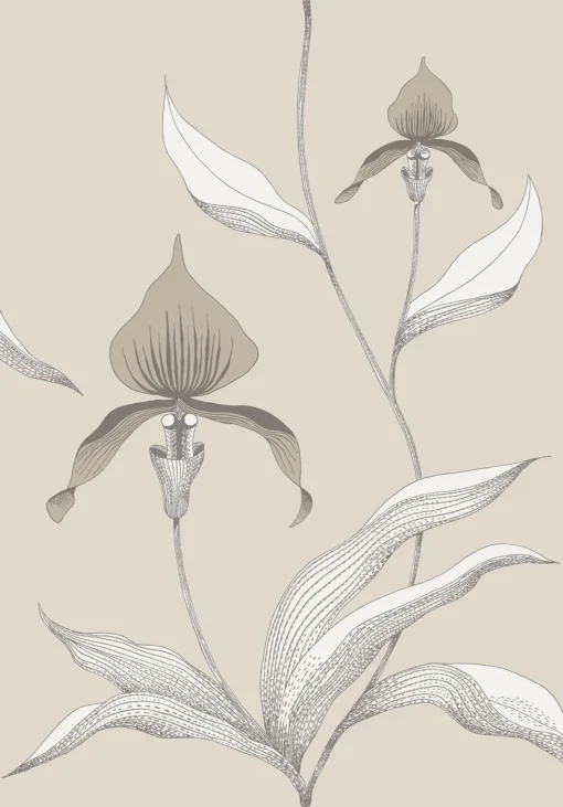 ORCHID - Image 24