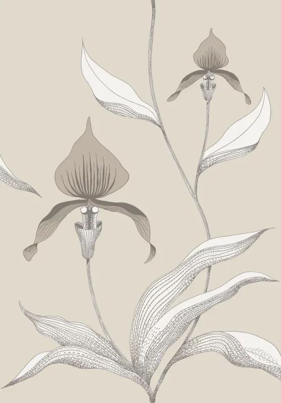 Orchid Image Flatshot Item 95 ORCHID ORCHID
