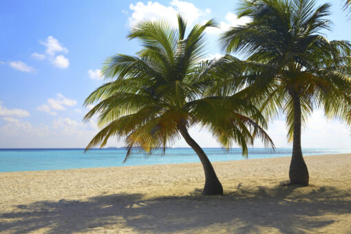 Maldives Mural - Image 2