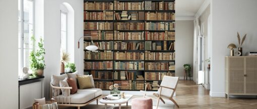 Bookshelf Mural - Black and Brown