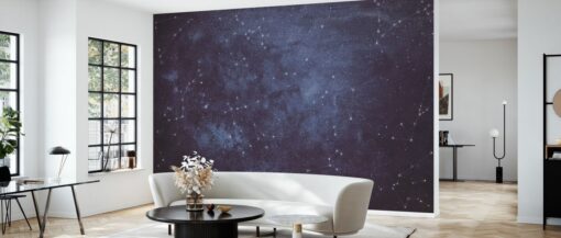 Zodiac Sky VI Mural