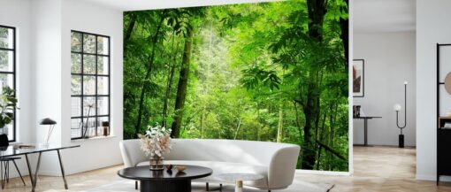 Steamy Forest Mural