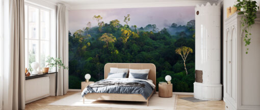 Sunrise at Lowland Rainforest Mural - Image 3