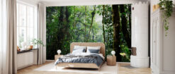 room43 2 Tropical Forest Mural Tropical Forest Mural