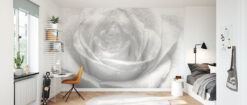 room49 11 High Key Mural - Rose High Key Mural - Rose