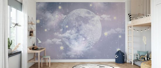 room50 13 Moon with Stars Mural Moon with Stars Mural