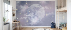 Space Murals