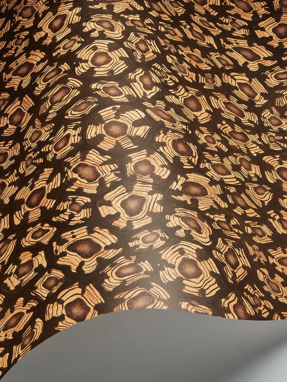 SAVANNA SHELL - Image 6