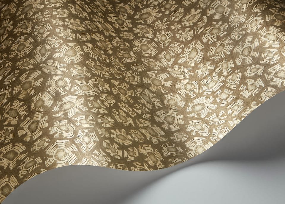 SAVANNA SHELL - Image 9