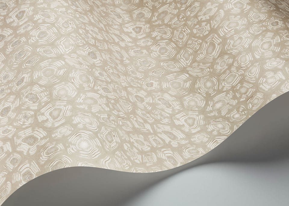 SAVANNA SHELL - Image 11
