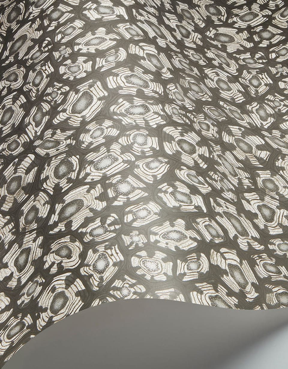 SAVANNA SHELL - Image 16