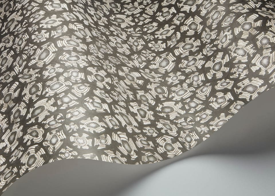 SAVANNA SHELL - Image 15