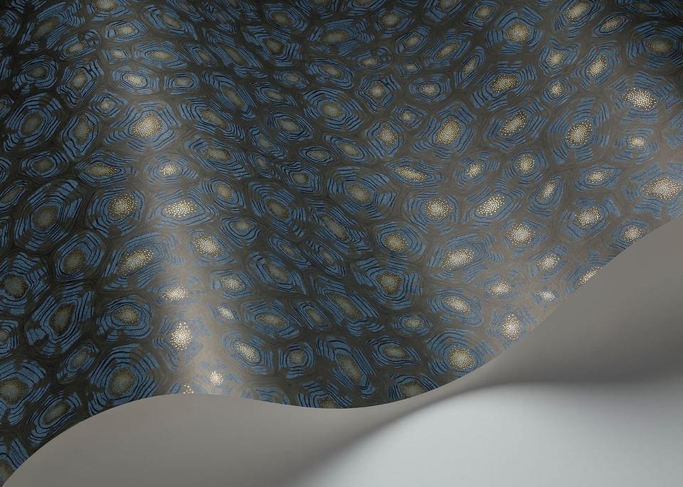 SAVANNA SHELL - Image 19