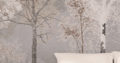 Misty Forest Wall Mural, Tranquil Tree Wallpaper, Neutral Nature Wall Art for Living Room - Image 4